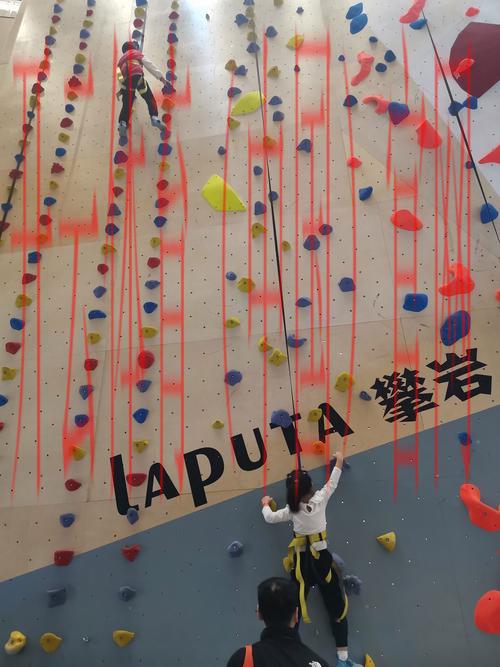 开云体育开云体育appkaiyunsport, 探索运动中的无限乐趣与挑战