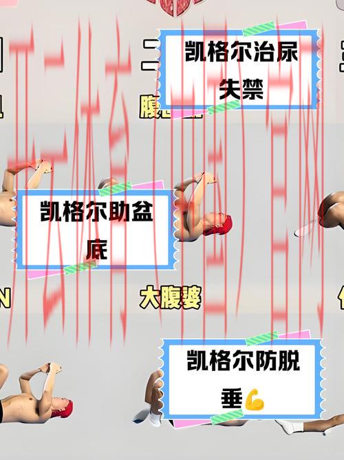 kaiyuncom体育，深度剖析不同运动项目魅力